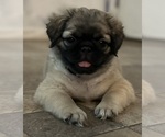 Small #27 Breeder Profile image