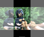 Small #22 Breeder Profile image