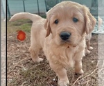Small #3 Breeder Profile image