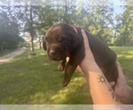 Small #7 Breeder Profile image