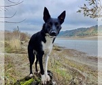 Small #32 Breeder Profile image