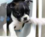 Small #12 Breeder Profile image