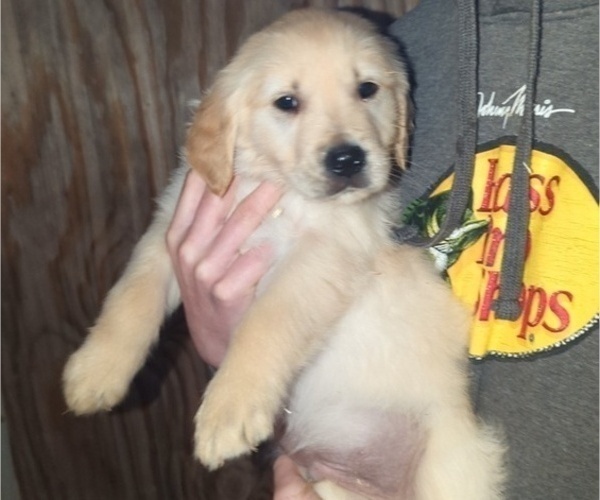 Medium Photo #3  Breeder Profile in MILACA, MN, USA