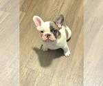 Small breeder photo