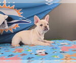 Small #15 Breeder Profile image