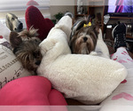 Small #32 Breeder Profile image