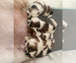 Small #6 Breeder Profile image