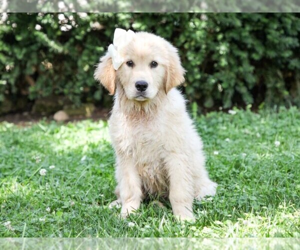 Medium Photo #1  Breeder Profile in LIBERTY, KY, USA