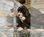 Small #3 Breeder Profile image