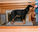 Small #6 Breeder Profile image