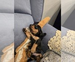 Small #12 Breeder Profile image