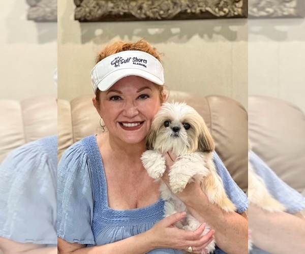 Medium Photo #1  Breeder Profile in CHICAGO, IL, USA