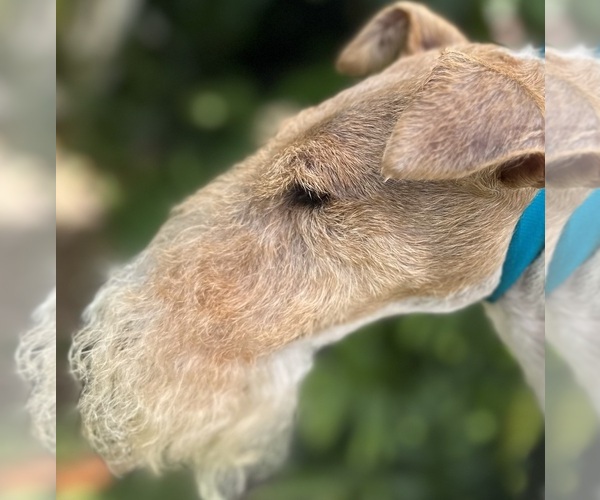 Medium Photo #1  Breeder Profile in HALEIWA, HI, USA