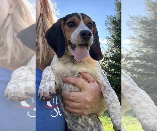 Medium Photo #3  Breeder Profile in BROWNSVILLE, OR, USA