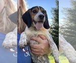 Small #2 Breeder Profile image