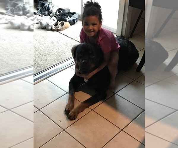 Medium Photo #15  Breeder Profile in TOMS RIVER, NJ, USA