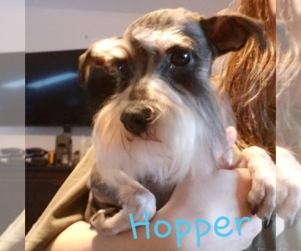 Medium Photo #2  Breeder Profile in SPOKANE, WA, USA