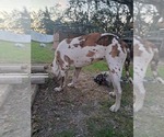 Small #2 Breeder Profile image