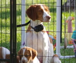 Small #2 Breeder Profile image