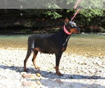 Small #3 Breeder Profile image