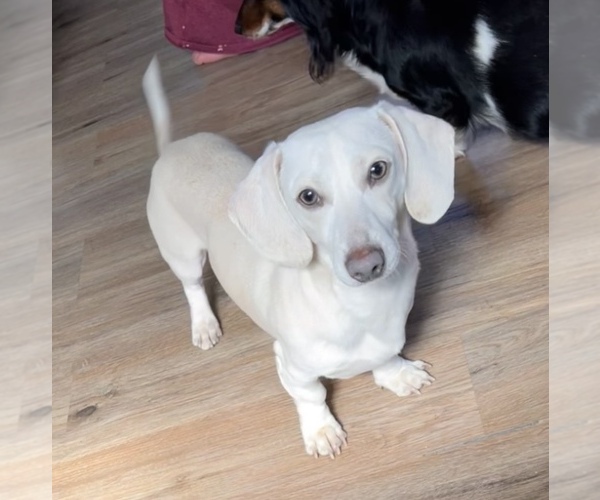 Medium Photo #1  Breeder Profile in MEDFORD, OR, USA
