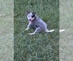 Small #5 Breeder Profile image