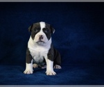 Small #4 Breeder Profile image