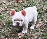 Small #7 Breeder Profile image