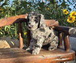 Small #5 Breeder Profile image