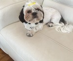 Small #5 Breeder Profile image