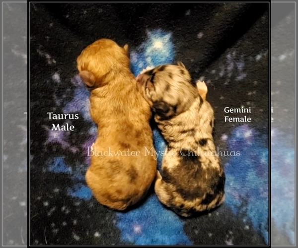 Medium Photo #1  Breeder Profile in NEWPORT, NH, USA