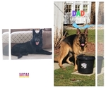 Small #1 Breeder Profile image
