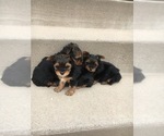 Small #1 Breeder Profile image