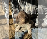 Small #11 Breeder Profile image