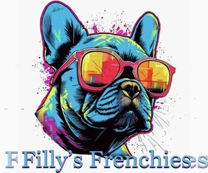 French Bulldog Dog Breeder near BRUNSWICK, OH, USA