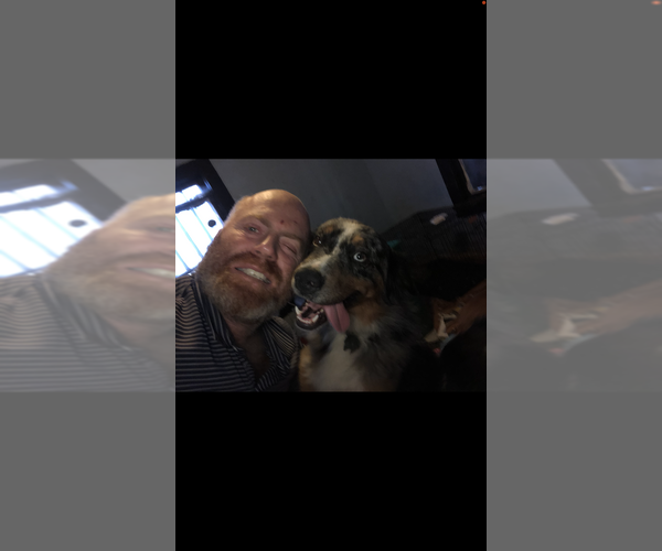 Medium Photo #1  Breeder Profile in JACKSONVILLE, FL, USA