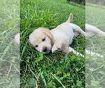 Small #5 Breeder Profile image