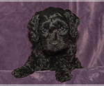 Small #15 Breeder Profile image