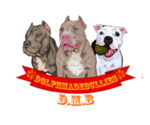 Small Photo #1  Breeder Profile in SAINT CHARLES, MD, USA