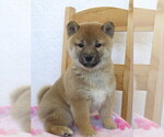 Small #1 Breeder Profile image