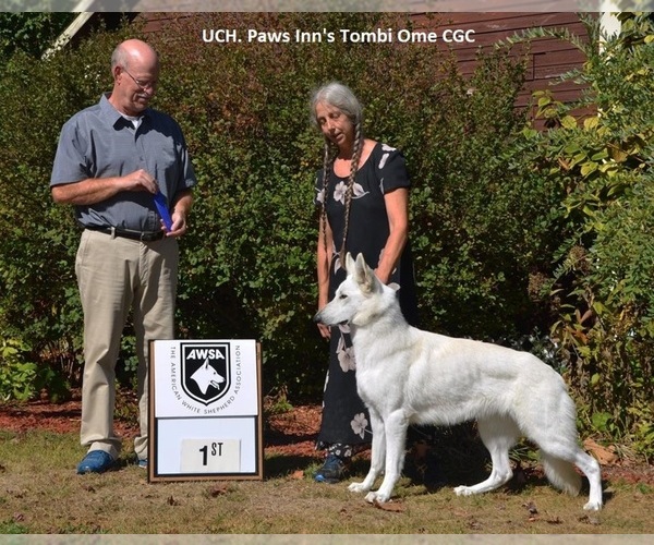 Medium Photo #2  Breeder Profile in CECILIA, KY, USA