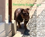 Small #13 Breeder Profile image