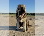 Small #6 Breeder Profile image