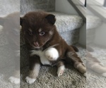 Small #1 Breeder Profile image