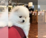 Small #17 Breeder Profile image