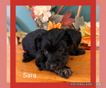 Small #2 Breeder Profile image