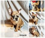Small #3 Breeder Profile image