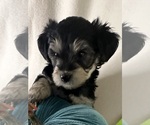 Small #12 Breeder Profile image