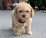 Small #3 Breeder Profile image