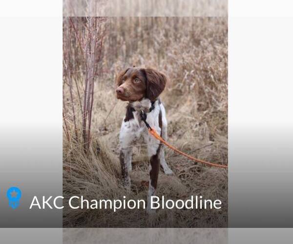 Medium Photo #1  Breeder Profile in JESUP, GA, USA